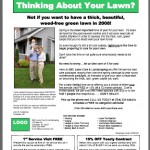 Lawn Care Templates 