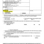 Lawyer Paperwork Lawyer Paperwork