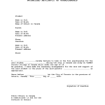 Notarized Affidavit Template