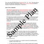 Business Plan Sample Business Plan Sample