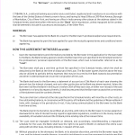 Cash Loan Agreement