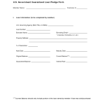 Cash Loan Agreement