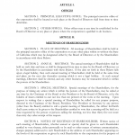 Corporate Bylaws Examples