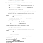 Corporate Minutes Example