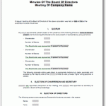 Corporate Minutes Sample