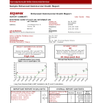 Credit Report Template