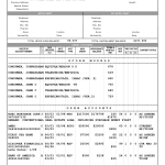 Credit Report Template