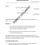 Employment Contract Example