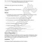 Example Of Llc Operating Agreement Example Of Llc Operating Agreement