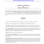 Example Of Llc Operating Agreement Example Of Llc Operating Agreement