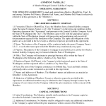 Example Of Llc Operating Agreement Example Of Llc Operating Agreement