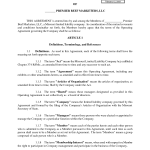 Example Of Llc Operating Agreement Example Of Llc Operating Agreement