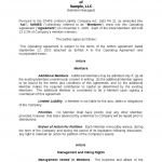 Example Of Llc Operating Agreement Example Of Llc Operating Agreement