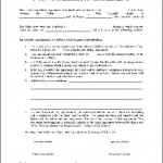 Free Will Document Template