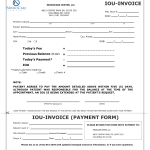 Iou Form