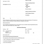 Irs Audit Letter Sample