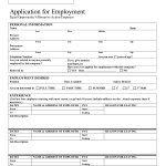 Job Application Blank
