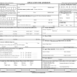 Job Application Blank