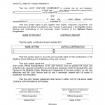 Joint Venture Agreement Sample 