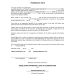 Legal Promissory Note