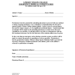 Medical Consent Form For Minors