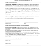 Non Compete Agreement Example 