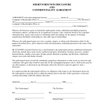 Non Disclosure Agreement Sample