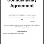 Non Disclosure Agreement Sample