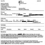 Police Report Template