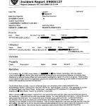 Police Report Template