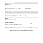 Police Report Template