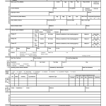 Police Report Template