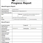 Police Report Template