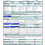 Police Report Template