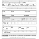Police Report Template