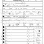 Police Report Template