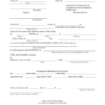 Sample Affidavit Of Service 